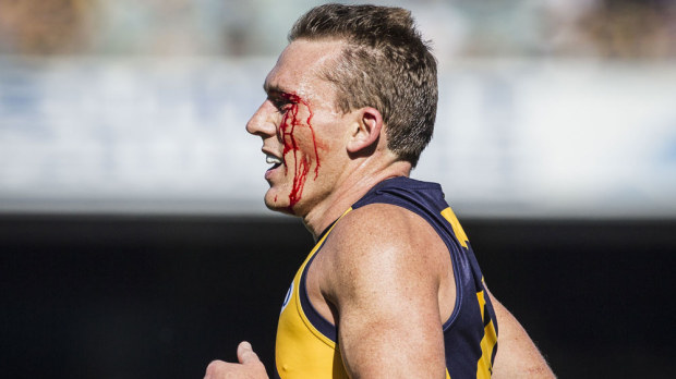 Drew Petrie's AFL career will end when the Eagles' season is over. (AAP)