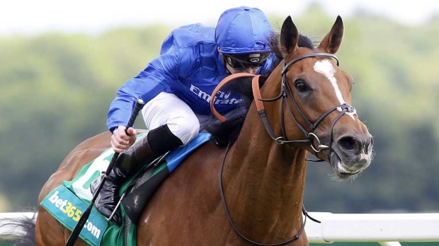 Scottish will miss the Melbourne Cup. (AAP)