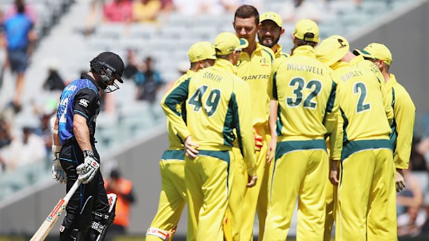 Australian players celebrate the wicket of Kane Williamson. (Getty)