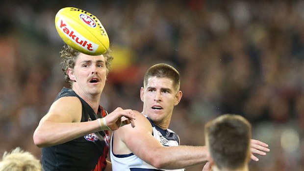 Essendon's Joe Daniher and Geelong's Lincoln McCarthy in action. (AAP)