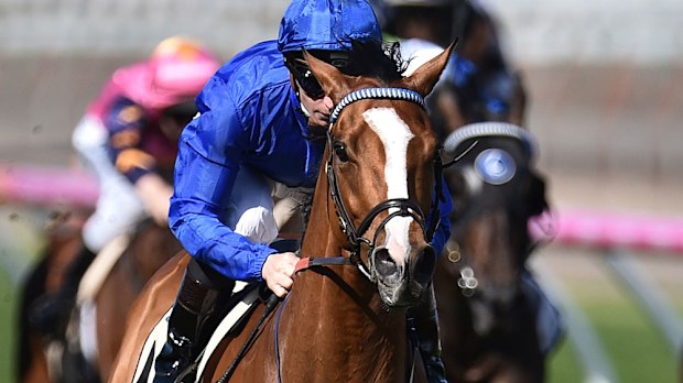 Hartnell has been instilled as the early favourite for the Melbourne Cup. (AAP)