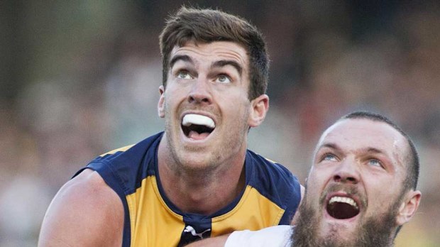 West Coast Eagles ruckman Scott Lycett. (AAP)