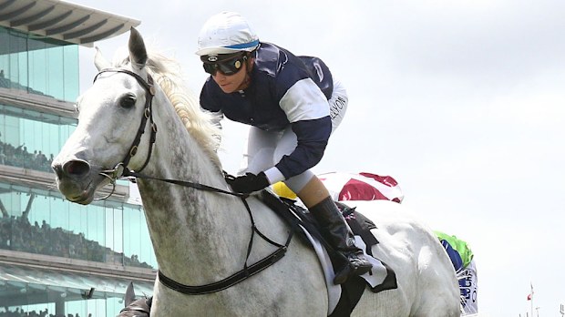 Little White Cloud scored a strong win at Flemington, (AAP)