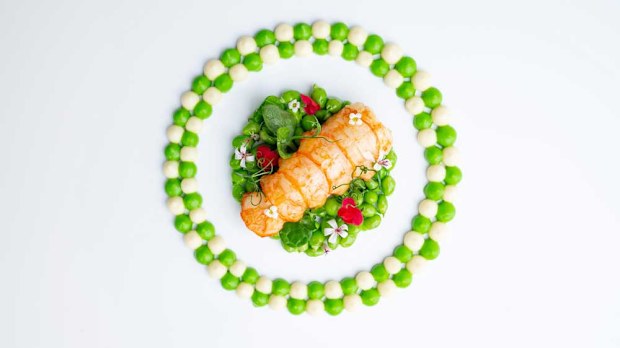Scottish langoustine at Core / Food Story Media Ltd.
