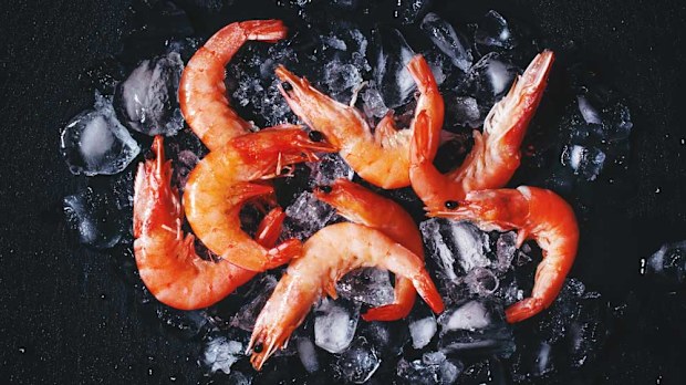 Christmas prawns