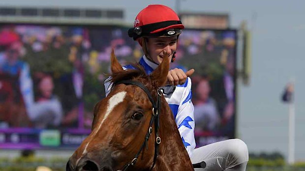 Redkirk Warrior ridden by Regan Bayliss