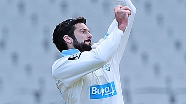 NSW off-spinner Will Somerville has put the Blues in a good position against Queensland after taking 6-108. (Getty)
