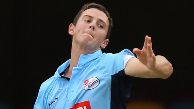 Josh Hazlewood starred for the Blues. (Getty Images)