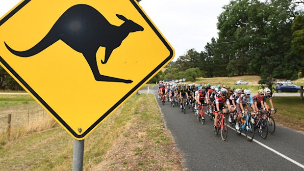 The Tour Down Under peloton rides along. (AAP)