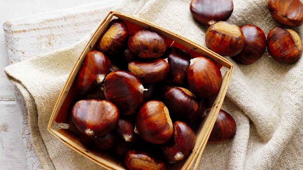 How to cook, peel and store chestnuts. Image:Chestnuts Australia