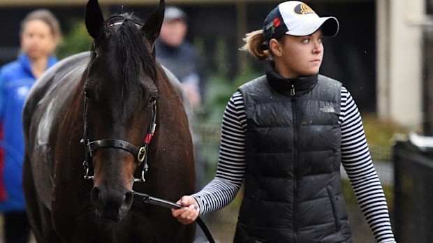 Beaten VRC Oaks favourite Yankee Rose has a bone chip in the knee. (AAP)