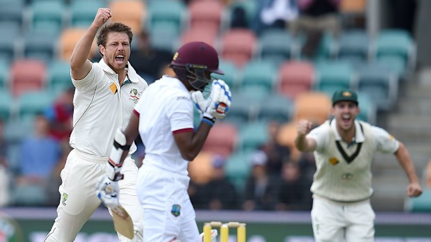 James Patinson celebrates the wicket of Rajendra Chandrika. (AAP) 