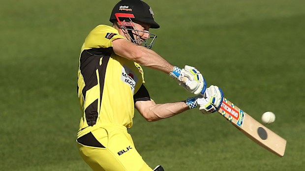 Shaun Marsh.(Getty)