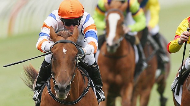 Aspect saluted in the Maribyrnong Plate at Flemington. (Getty Images)