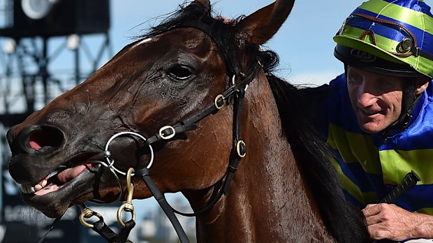 Jameka will start as favourite in the Caulfield Cup. (AAP