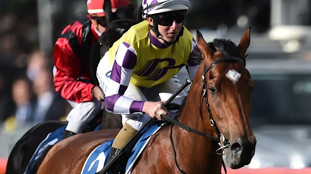 Sacred Elixir is favourite for the Victoria Derby. (AAP)