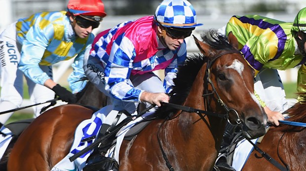 Connections of Fell Swoop will be hoping to finally crack it a Group 1 win. (Getty Images)