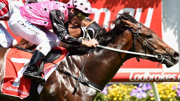 Flying Artie may chase the Coolmore, Darley double. (Getty Images)