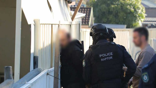 Police arrested a man in Canley Heights today over the alleged theft of 60,000 limited edition Bluey coins.