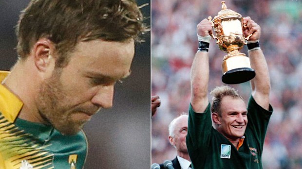 AB de Villiers after a loss at the recent World T20 and Francois Pienaar, who captained the Springboks to the 1995 Rugby World Cup. (AAP)