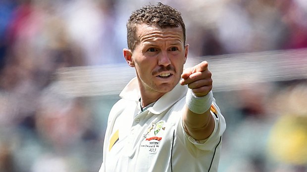 Peter Siddle. (AAP)