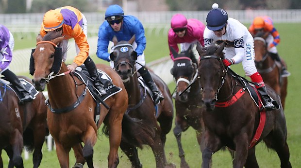 Yankee Rose scored a storming win in the Spring Champions Stakes. (AAP)