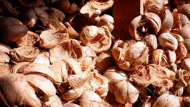 Coconut husks used for smoking meat on a Bali street food tour