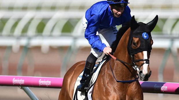 Hartnell made a first public appearance since the Melbourne Cup. (AAP)