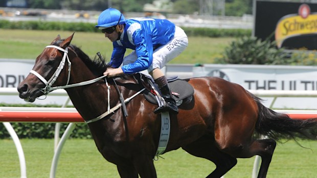 Mighty mare Winx. (AAP)