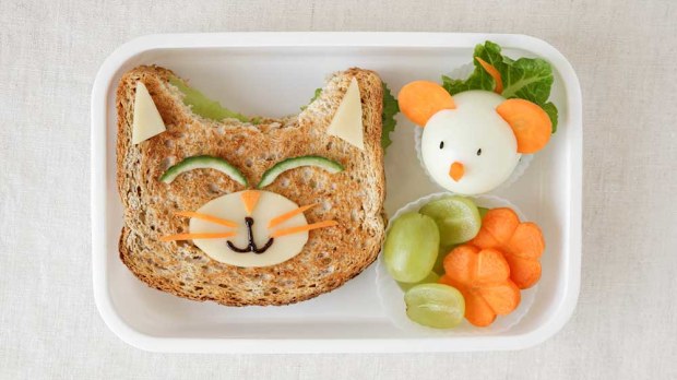 Instagram worthy lunchbox anxiety