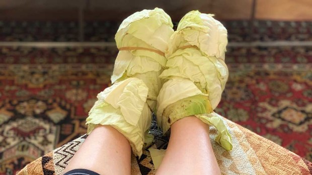 Alice in Frames' cabbage compression socks