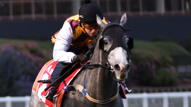 Kerrin McEvoy will pilot Silvera in the Victoria Derby. (Getty Images)