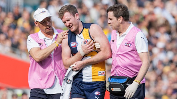 Eagle and former Hawk Xavier Ellis has retired. (AAP)