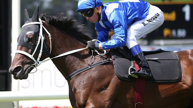 Winx turned in an impressive run in a gallop at Rosehill. (AAP)