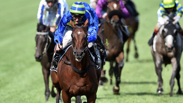Jameka's Melbourne Cup hopes have come under question. (AAP)