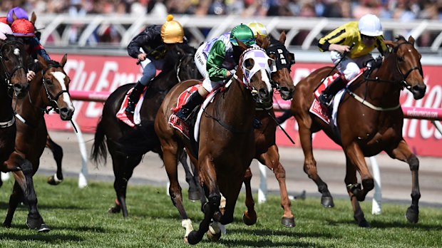 Prince of Penzance wowed Flemington in 2015. (AAP)