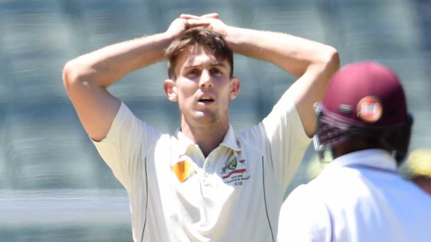 Mitchell Marsh. (AAP)