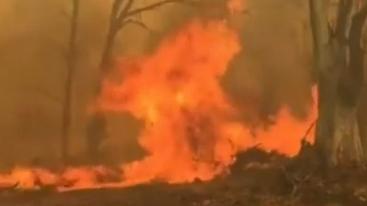 Bushfire conditions ease as fire crews continue to battle 40 blazes ...