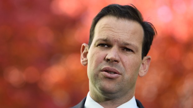 The political future of Matt Canavan is set to rest with the High Court.