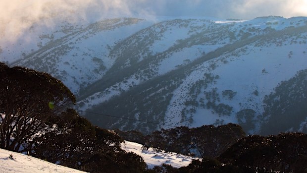 Plenty more snow is on the way later this week. (Mt Hotham via Twitter)