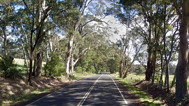 A teenager was thrown from a car when the driver 'swerved to miss a wombat'.