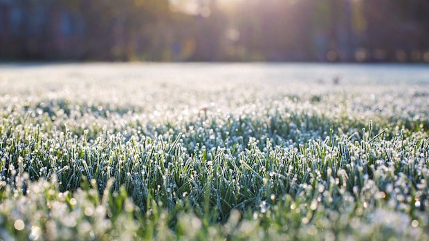 The cold conditions are from an airmass following a front. (Weatherzone)
