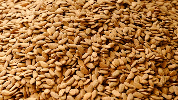 Almonds have been linked to good cholesterol in a new US study. (AFP)