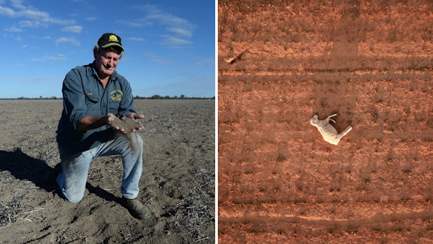 The strong weather system would hit as most of Australia's eastern states are battling the crippling effects of drought.