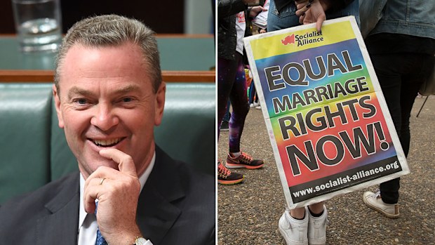 Cabinet minister Christopher Pyne says marriage equality could happen "sooner than everyone thinks". (AAP)