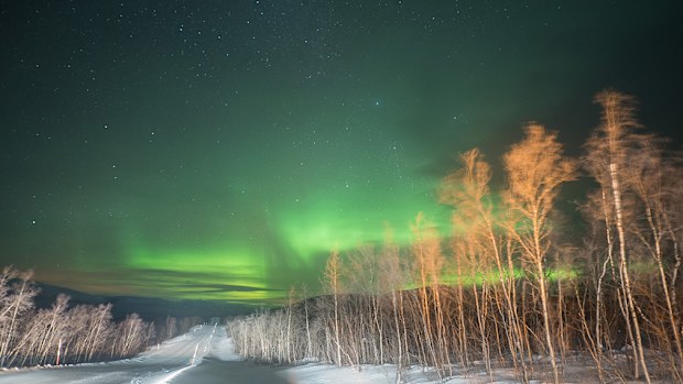 Starry, starry night. Enontekiö, Finland. (9NEWS/Jessica Braithwaite)