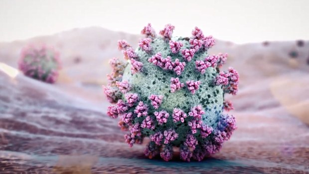 As the number of new infections rise, a 3D-simulation from UNSW explains how washing your hands is a key way to stem the pandemic.