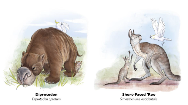Megafauna