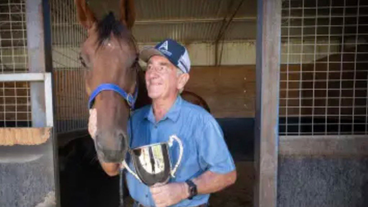 'Highly regarded' trainer dead after being kicked by horse