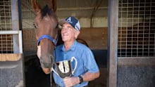 The racing scene it in mourning after hobby trainer Stephen Meyer died after he was kicked by a horse.